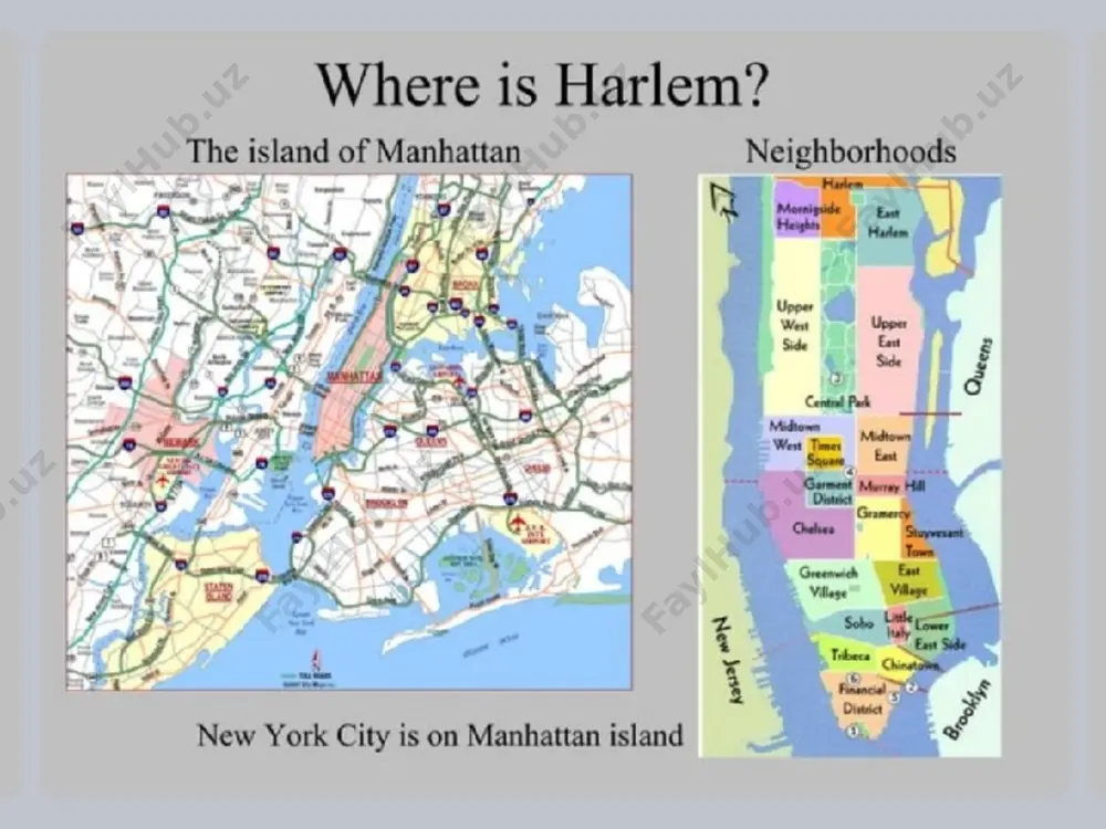harlem renaissance and black community in american literature - Page 4