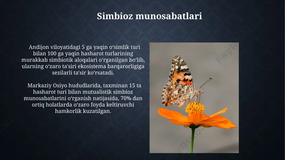 an. afrikaning savannalarida fil qoldiqlari (taxminan 100 kg najas) atrofida 30 dan ortiq hasharot turlarining rivojlanishiga to'sqinlik qiluvchi antibiotik moddalar aniqlangan. nekroz munosabatlari toshkent yaqinidagi 5 ga yaqin turdagi qoʻngʻizlarning oʻzaro raqobat munosabatlari, ularning yashash joylari va oziq-ovqat resurslari uchun kurashini koʻrsatadi, bu esa populyatsiyalar sonining tebranishiga olib keladi. oʻzbekistonning janubiy hududlarida, masalan, qashqadaryo viloyatida, 30 dan ortiq hasharot turlari oʻsimliklar bilan murakkab oziq-ovqat zanjiri munosabatlarida boʻlib, ularning populyatsiyasi oʻsimliklarning mavsumiy oʻzgarishlariga bogʻliq. epifitizm munosabatlari oʻzbekistonning janubiy hududlarida, xususan, qashqadaryo viloyatida 10 dan ortiq turdagi qoʻngʻizlarning 200 dan ortiq oʻsimlik turlariga epifit sifatida joylashishi kuzatilgan. epifit munosabatlarining intensivligi yilning iliq fasllarida, ya’ni 25-30°s haroratlarda 3 barobar ortadi va hasharotlarning koʻpayishiga olib keladi. allellopatiya munosabatlari allelopatiya ta’sirida 20 ga yaqin hasharot turi o‘simlik tanlovini o‘zgartirib, 5% gacha bo‘lgan yangi o‘simliklarga o‘tish kuzatilgan. ba’zi hasharotlar, xususan, 7 turdagi qo‘ng‘izlar allelopatik ta’sirga ega o‘simliklardan himoya vositasi sifatida foydalanib, o‘z populyatsiyasini himoya qiladi. e'tiboringiz …