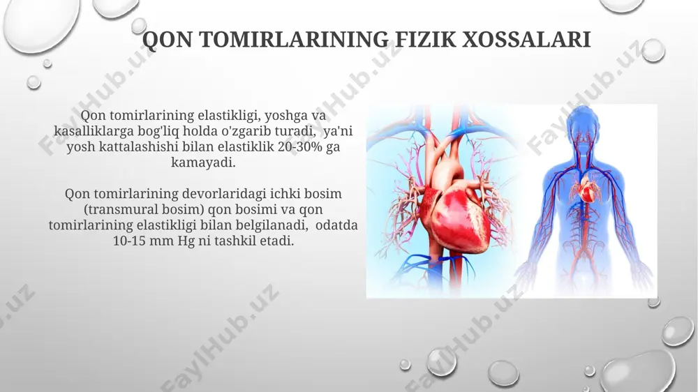 qon aylanish sistemasining fizik asoslari - Page 5