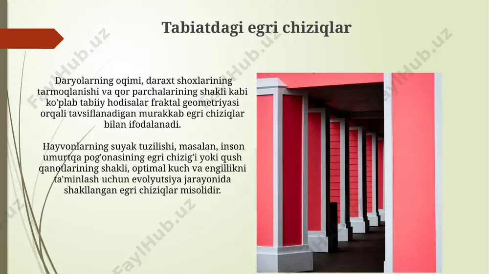 egri chiziqlar - Page 5