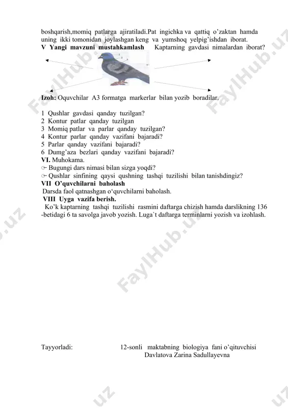 qushlar sinfi. ko'k kaptarning tashqi tuzilishi - Page 5