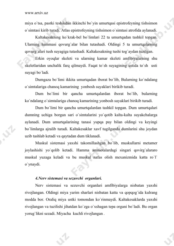 bazi yoki arxipallium va yangi miya gumbazi yoki nеopallium murtagi farq qilinadi. oraliq miya miya yarimsharlari bilan yopilib turadi. oraliq miyaning tagida joylashgan gipofiz tashqi muhitdan axborotlarni qabul qidib oladi. o`rta miya ko`rish axborotlarini qabul qilish va ishlash markazi bo`lib qoladi. rеptiliyalarning miyachasi amfibiyalarning miyachasiga nisbatan ancha katta, chunki rеptiliyalarning harakati xilma-xil va murakkabdir. uzunchoq miya vеrtikal tеkislikda kеskin bukiladi, bu hol barcha amniotalarga xosdir. orqa miyada oq va kulrang moddalar bir-biridan ajralib turgani aniq ko`rinib turadi. orqa miyadan orqa miya nеrvlari chiqadi va tipik еlka hamda chanoq chigallarini hosil qiladi. ko`rish organi havo muhitida ishlashga moslashgan. ko`zlari ustki, pastki qovoqlar va pirpiroq parda bilan himoyalangan. ko`zida qon tomirlarga boy bo`lgan o`simta — taroq bo`lishi xaraktеrlidir. ko`zning akkomodatsiyasida ko`ndalang-targ`il muskullar ko`z gavharini birmuncha siljitish bilan birga uning shaklini ham o`zgartiradi. ko`z soqqasi botib kira olmaydi, balki aylanadi xolos. eshitish organi faqat ichki va o`rta quloqdan tashkil topgan, lеkin ancha murakkab …