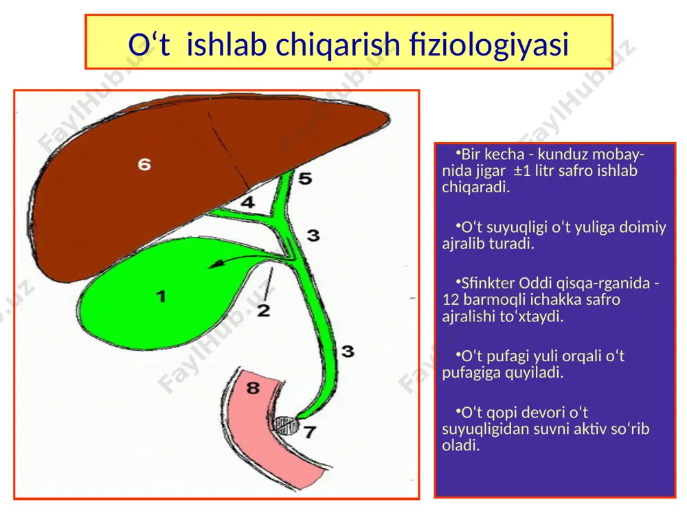 surunkali xoletsistit. klinikasi, diagnostikasi, davolash usullari - Page 5