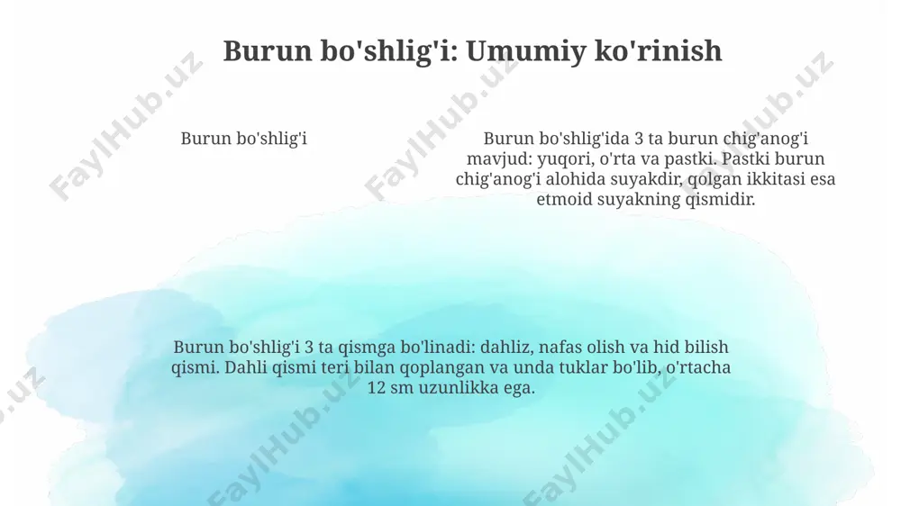iqaruvchi goblet hujayralari va kiprikli hujayralar mavjud, bu esa kuniga 20-30 ml shilliq ishlab chiqaradi. traxeya devori 15-20 ta tog’ay halqasidan iborat bo’lib, orqa devori biriktiruvchi to’qimadan tashkil topgan. bu tuzilish ovqat hazm qilish jarayonida qizilo’ngachning kengayishiga imkon beradi. bronxlar: bronxiol daraxti bronxial daraxt o'pkada takroriy ravishda bo'linadi va kichikroq diametrli 20-25 avlod bronxlarni hosil qiladi. eng kichik bronxlar, diametri 1 mm dan kam, bronxiolalar deb ataladi. o'ng o'pka 3 ta bo'lakka ega, shuning uchun o'ng asosiy bronx 3 ta bo'lak bronxiga bo'linadi. chap o'pka esa 2 ta bo'lakka ega va chap asosiy bronx 2 ta bo'lak bronxiga bo'linadi. bronxlar: bronxial daraxti o'pka: innervatsiya o'pka innervatsiyasi o'pka innervatsiyasi o'pka innervatsiyasi o'pka: bo'laklar va segmentlar o'pkaning o'ng tomonida 3 bo'lak (yuqori, o'rta, pastki) mavjud, ularni gorizontal va oblik yoriqlar ajratib turadi. har bir bo'lak o'z navbatida bronxopulmonar segmentlarga bo'linadi. har bir bronxopulmonar segment o'zining segmentar bronxi va qon tomirlari bilan ta'minlanadi. …
