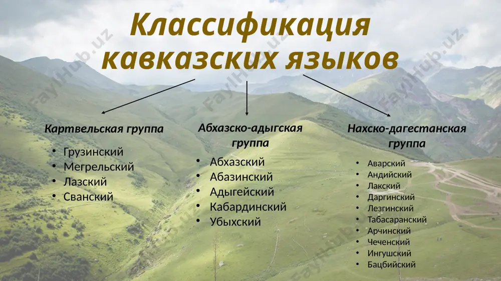 кавказские языки - Page 2