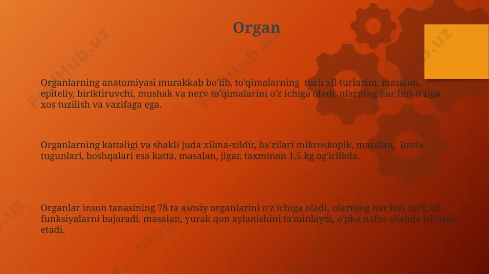 i va uchlamchi tibbiy yordamni o'z ichiga oladi, ularning har biri o'ziga xos funktsiyalar va resurslarga ega. tibbiyot tibbiyot tarixi miloddan avvalgi 3000 yillarga borib taqaladi va 5 ta asosiy davrga bo'linadi: qadimiy, antik, o'rta asr, yangi davr va zamonaviy davr, har bir davr o'ziga xos tibbiyot tizimlari va kashfiyotlari bilan ajralib turadi. tibbiyot so'zi arabcha kelib chiqishiga ega bo'lib, "tibb" so'zining ko'plik shakli hisoblanadi va taxminan 1000 dan ortiq kasalliklar va davolash usullarini o'z ichiga olgan keng sohani anglatadi. tibbiyotda taxminan 20 ga yaqin asosiy mutaxassislik yo'nalishlari mavjud, jumladan jarrohlik, terapevtika, kardiologiya va boshqalar, har bir yo'nalish o'ziga xos kasalliklar va diagnostika usullarini o'rganadi. klinik klinik tadqiqotlar yangi davolash usullarini ishlab chiqish va mavjud davolash usullarini yaxshilash uchun o'tkaziladi, masalan, 2-toifa diabetga qarshi yangi dori vositalarini tekshirish. klinik diagnostika jarayonida bemorning 3 ta asosiy belgilari – anamnez, fizik tekshiruv va laboratoriya tahlillari hisobga olinadi. klinik atamasi tibbiyotda 100 dan …