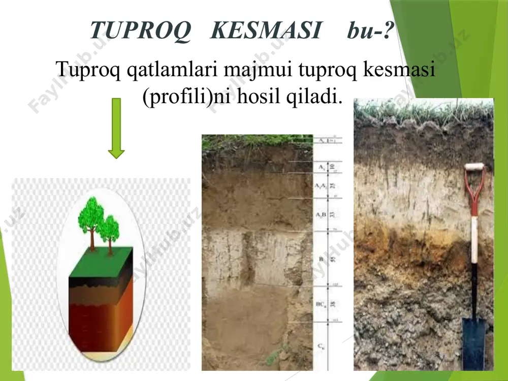nomlanadi. masalan, kashtan tuproq, qizg‘ish tuproq, bo‘z tuproq va boshqalar. tuproqning asosiy rangi kimyoviy. tuproqning asosiy rangi kimyoviy tarkibi va chirindi moddalariga qarab o‘zgaradi. tuproq tarkibida organik modda-chirindi qancha ko‘p bo‘lsa, uning tusi shuncha qoramtir bo‘ladi. shuning uchun tuproq tusini puxta o‘rganish va to‘g‘ri aniqlash bilan undagi chirindi miqdorini taxminlash mumkin. tuproq strukturasi. tuproqning donadorligi deganda uning tabiiy ravishda struktura bo‘laklari va agregatlariga ajralib ketish xususiyati tushuniladi; struktura bo‘laklari va agregatlar odatda gumus va tuproqdagi mayda mexanik zarralarining o‘zaro birikshidan hosil bo‘ladi.struktura tuproqning muhim va o‘ziga xos alomati bo‘lib, uning genetik hamda agroishlab chiqarish xarakteristkasini aniqlashda katta ahamiyatga egadir. tuproqlar strukturasinig morfologik tiplari s.a.zaxarov tomonidan yaxshi ishlab chiqilgan. har bir tuproq va uning genetik qatlami uchun tuproqlar strukturasining ma’lum tipi to‘g‘ri keladi. tuproq agregatlarining shakliga qarab strukturaning uch xil tipini ajratib ko‘rsatish qabul qilingan; kubsimon, prizmasimon va plitasimon strukturalar. tuproqning namligi. tuproqning namligi absolyut quruq tuproq massasi yoki hajmiga nisbatan …
