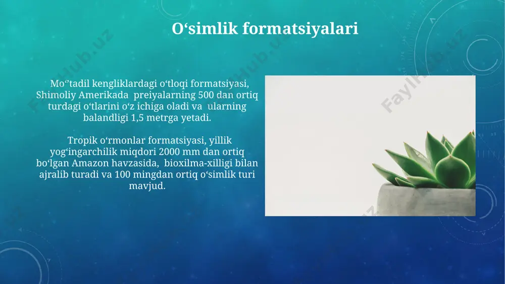 yat faoliyati natijasida yoʻqotilmoqda, bu esa 1000 dan ortiq oʻsimlik turlarining yoʻq boʻlib ketish xavfini tugʻdiradi. qishloq xoʻjaligi yerlarini kengaytirish natijasida markaziy osiyo mamlakatlarida, jumladan, oʻzbekistonda, 50 dan ortiq endemik oʻsimlik turlarining yashash joylari kamaymoqda, bu esa bioxilma-xillikning pasayishiga olib keladi. e'tiboringiz uchun rahmat @taqdimot_robot image3.png image4.jpg image5.jpg image6.jpg image7.jpg image8.jpg image9.jpg image10.jpg image11.jpg image12.jpg