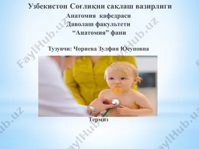 анатомия фани — PPTX