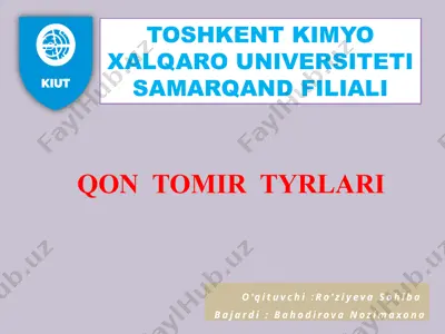 qon tomir turlari — PPTX