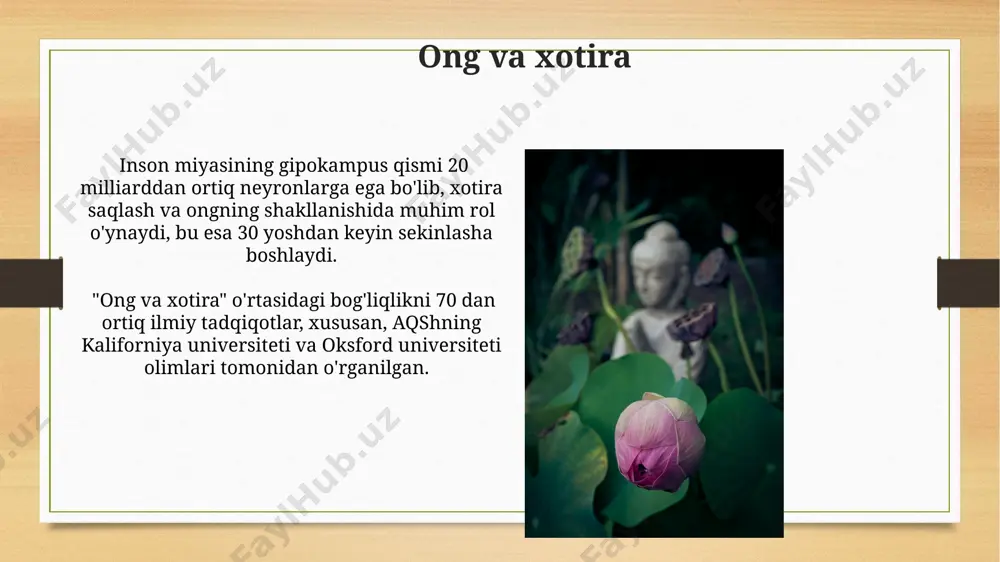 ong – borliqning ma’naviy shakli - Page 5