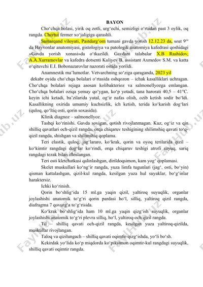 cho‘chqa bolasi — DOCX
