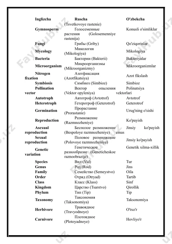 botanika glossariy - Page 3