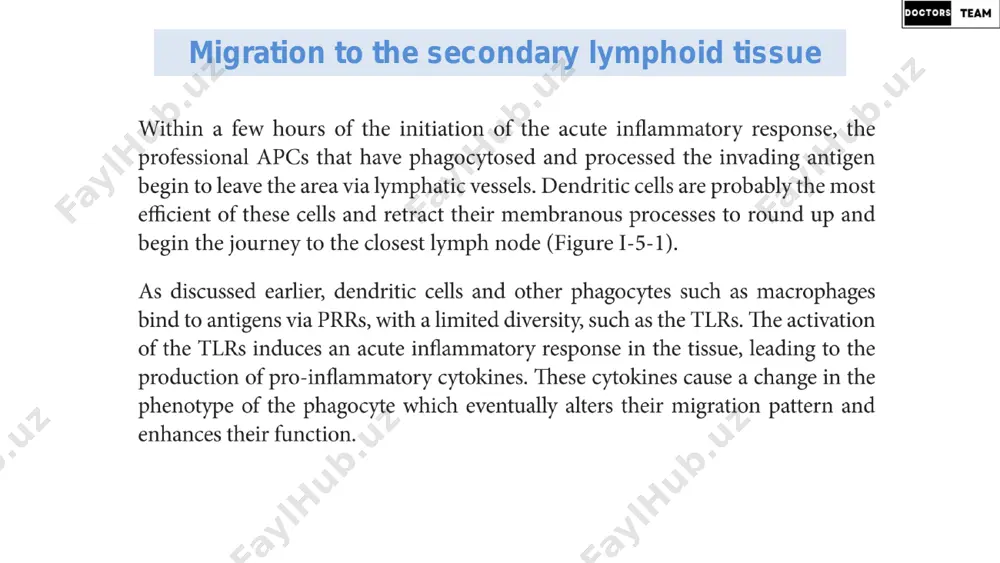immunology lesson - 6 doctors team - Page 3