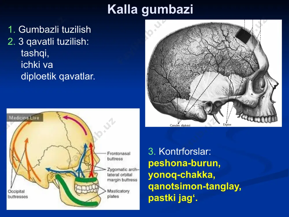 /slide46.xml.rels ppt/slides/_rels/slide47.xml.rels ppt/slides/_rels/slide48.xml.rels ppt/slides/_rels/slide5.xml.rels ppt/slides/_rels/slide6.xml.rels ppt/slides/_rels/slide7.xml.rels ppt/slides/_rels/slide8.xml.rels ppt/slides/_rels/slide9.xml.rels [content_types].xml образец заголовка образец подзаголовка образец заголовка образец текста второй уровень третий уровень четвертый уровень пятый уровень образец заголовка образец текста образец заголовка образец текста второй уровень третий уровень четвертый уровень пятый уровень образец текста второй уровень третий уровень четвертый уровень пятый уровень образец заголовка образец текста образец текста второй уровень третий уровень четвертый уровень пятый уровень образец текста образец текста второй уровень третий уровень четвертый уровень пятый уровень образец заголовка образец заголовка образец текста второй уровень третий уровень четвертый уровень пятый уровень образец текста образец заголовка образец текста образец заголовка образец текста второй уровень третий уровень четвертый уровень пятый уровень образец заголовка образец текста второй уровень третий уровень четвертый уровень пятый уровень образец заголовка образец текста второй уровень третий уровень четвертый уровень пятый уровень образец текста второй уровень третий уровень четвертый уровень пятый уровень образец заголовка образец текста второй уровень третий …