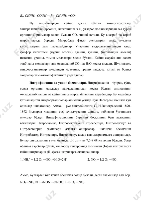 уда кўпайиб, ривожланиши натижасида тупроқда мавжуд азотни ҳам ўзлаштириб цитоплазма оқсилига айлантириб оладилар. бу вақтда ўсимликларга азот етишмаслиги содир бўлади. анорганик азотнинг иммобилизацияси агрономлар билиши зарур жараёнидир. сомон ва таркибида азоти кам сомонли гўнг ва бошқа моддаларни галла ўсимликларга берса салбий таъсир қилар экан, дуккакдошларга бундай таъсир сезилмайди, чунки улар азотни етказиб бериб турадилар. иккинчи томондан баҳорда иммобилизация фойдали бўлиши ҳам мумкин, чунки микроблар қолдиқлари ва ўлик микроблардаги аммиак ва нитратлар богланиб, қишда тупроқни асосли (ишқорий) хоссага эга бўлганда ҳам сақланиб қолади ва баҳорда уни ўсимликлар ўзлаштириб оладилар. демак, сомнли ўгитларни азот билан бойитилганч тупроққа киритиш лозим экан. денитрификация жараёни ҳақида тушунча. денитрификация нитратларнинг биологик, микроблар иштирокида қайтарилиши жараёнидир. бу бевосита денитрификация дейилади. агар аминокислоталар билан нитрит кислота таъсирида молекуляр азот ҳосил бўлса, яъни нитратлар химиявий йўллар билан қайтарилса билвосита денитрификация содир бўлади. шунингдек, агарда нитратлар аммиакгача қайтарилса ва аммиак ҳужайрадаги моддалар учун азот манбаи бўлиб хизмат қилса бу ҳол …