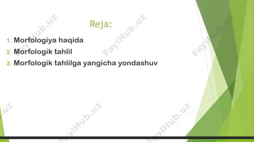 morfologik tahlil ppt - Page 2