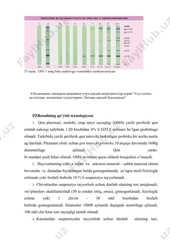 ajasi aniqlanadi va bunga bog’liq, ravishda kanalarning «to’plamlari» shakllantiriladi va suspenziya tayyorlanadi. dnk/rnk ekstrakstiyasi quyidagilarni o’zichiga oladi: · biologik material; · hujayrali virusli qobiqlarning lizisi; · nukleoproteid komplekslarning destrukstiyasi; · ekzo va endogennukleazalarning inaktivastiyasi va chiqarib tashlanishi; · pzr ingibitorlarining inaktivastiyasi va chiqarib tashlanishi; ekstrakstiyaning so’nggi mahsuloti - yuqori samarali dnk yoki rnk preparat. polimerazli zanjir reaksiyasi – invitro tarzida dnk – polimeraza fermenti tomonidan katalizlanuvchi dnk – nishonlar fragmenti nusxalarining ko’p martalik ortishi. mazkur usul asosida dnk molekula- larining dnk – polimeraza fermenti bilan tabiiy replikastiyasi yotadi. dnk tabiiy replikastiyasi bir nechta bosqichdan iborat: 1. dnk denaturastiyasi (ikkilangan spiralning yechilishi, dnk iplarining tarqalishi); 2. dnk qisqa ikki zanjirli qismlarining paydo bo’lishi (dnk sintezining inistiastiyasi uchun zarur bo’lgan moddalar); 3. dnk yangi zanjirining sintezi (ikkala ipning komplementar tarzda qurib bitkazilishi). zanjirning komplementar tarzda qurib bitkazilishi faqatgina ma’lum startlibloklari – qisqa ikkita ipli qismlarda boshlanadi. bunday bloklarning dnk spestifik uchastkalariga qo’shilishida …