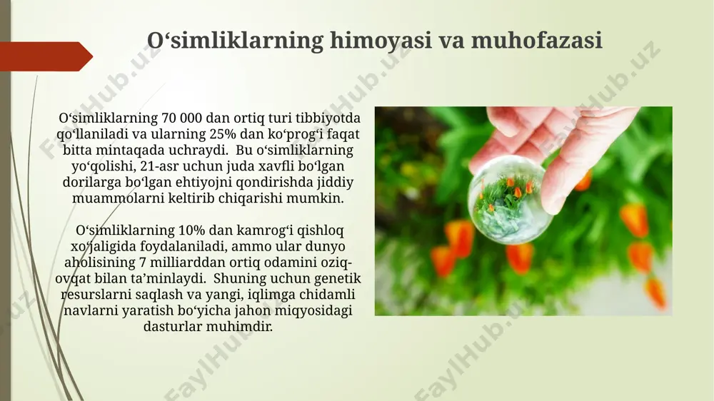 o‘simliklarning inson va biosferada tutgan o‘rni va muhofazasi - Page 3