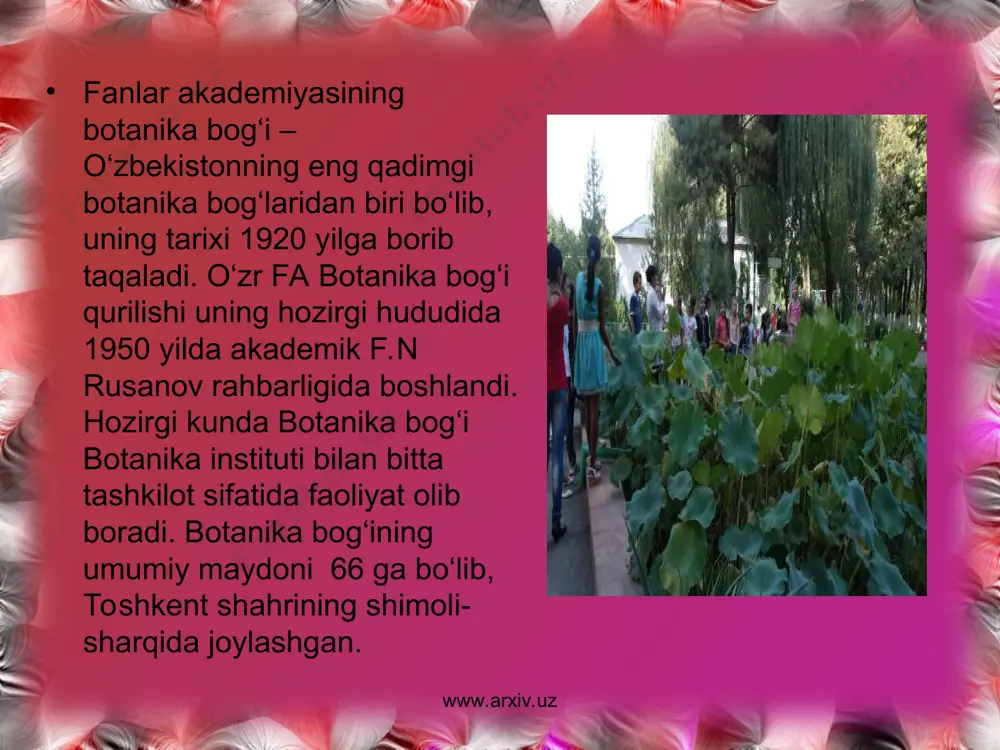 tgan. daraxtlar panasida buta va о‘tlar – maaka uchqati, beresklet turlari, akantopanaks, gortenziya va boshqalar yaxshi joylashib olgan. kо‘plab lianalar ham uchraydi. markaziy osiyo dendroflorasi ekspozitsiyasi о‘zbekistonda о‘sadigan daraxtlar bilan boyitilgan. bu yerda xarafshon qora archasi, oddiy xurmo, pontiya dо‘lanasi, yunon yong‘og‘i, magolep gilosi, zirk, tyаn-shan qayini, kalofakning turli kо‘rinishlari uchraydi. kavkaz dendroflorasi ekspozitsiyasi tashrif buyuruvchilarda katta qiziqish uyg‘otadi. bu yerda qrim qarag‘ayi, kavkaz emani, kazak qarag‘ayi, lapina, kashtan yaproqli eman, ayiq yong‘og‘i о‘sadi. www.arxiv.uz www.arxiv.uz ularning tagida bereskletning turli kо‘rinishlari, oddiy siren, qizil, mushmula va chetan butalari о‘sadi. ushbu ekspozitsiyaga oq nilfiya va suv liliyalariga tо‘la kо‘l alohida chiroy baxsh etib turibdi. shimoliy amerika ekspozitsiyasida nihoyatda chiroyli daraxtlar: kariya pekan, qora yong‘oq, balchiq sarvi, lola daraxti, g‘arb tuyadaraxtisi, katalpa, shakar zarangi va boshqalar о‘sadi. chekkalarda kalikant, bodrezak, amorfa, kornus о‘simlik turlari qad rostlagan. lianalardan – kirkazon turlari, uzum, tekoma turlari majvud. issiqxona va oranjereyalarda yer kurrasining turli joylaridan keltirilgan …