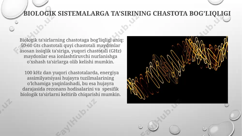 elektromagnit maydonlarning biologik tizimlarga tasiri - Page 3
