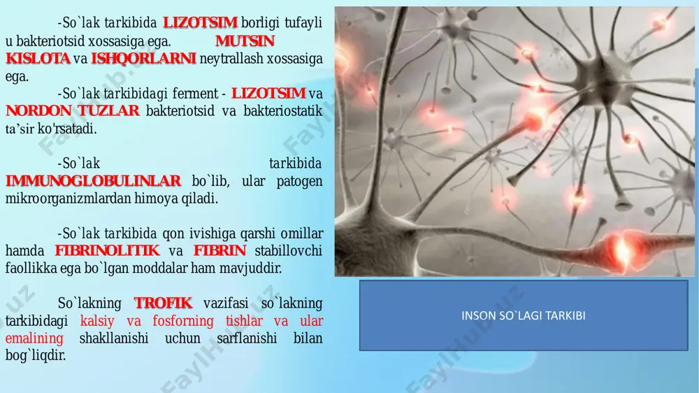 o`taydi: 1) me’dadagi oqsillarni denaturatsiyalash va bo'ktirish orqali parchalanishni osonlashtiradi; 2) pepsinogenni pepsinga aylantiradi; 3) me’da shirasi ta’sir qilishi uchun optimal kislotali muhitni yaratadi; 4) me’da shirasining antibakterial ta’sirini ta’minlaydi; 5) oziq moddani me’dadan o‘n ikki barmoq ichakka o`tishini me'yorda ushlab turadi, me’da tomondan ta’sir qilib, pilorik sfinkterning ochilishini va o`n ikki barmoq ichak tomondan ta’sir qilib, uning yopilishini ta’minlaydi; 6) pankreatik shira ajralishini kuchaytiradi. oshqozonda xlorid kislota me’da harakatini boshqarishda gastrointestinal gormonlarning ahamiyati ham kattadir. me’da harakatini -gastrin, motilin, serotonin, insulin lar kuchaytiradi, -sekretin, xtsk-pz, glukagon, gip, vip lar esa tormozlaydi. ximusning me’dadan o`n ikki barmoq ichakka o`tishi me’dadan oziq moddalarni o`n ikki barmoq ichakka evakuatsiya qilish tezligi moddaning hajmiga, tarkibiga, qattiq yoki yumshoqligiga, haroratiga, ph ga, me’daning pilorik qismi va o`n ikki barmoqli ichak o‘rtasidagi bosimlar farqiga, pilorik sfinkter holatiga, suv-tuz gomeostazi holatiga va boshqa juda ko‘p omillarga bog`liq bo`ladi. ovqat tarkibiga qarab me’dadan o‘n ikki barmoq ichakka …