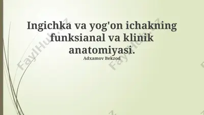 ingichka va yog'on ichakning funksianal va klinik anatomiyasi — PPTX