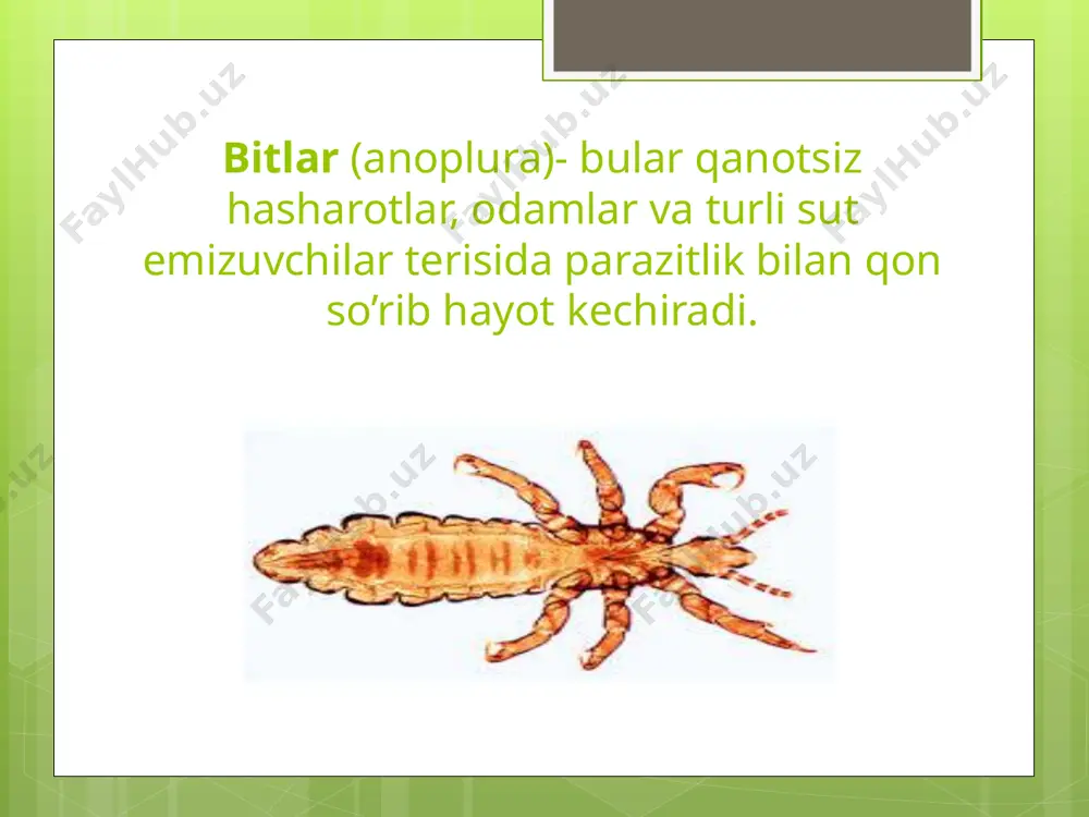 si bo’rtgan, yaltiroq bo’ladi. ilmiy tadqiqotlarning guvohlik berishicha hozirgi vaqtda hasharotlarning 1.5 mlndan ortiq turi mavjuddir. tadqiqotchilarning izlanishlari say- harakatlari natijasida yiliga 7-8 mingdan ortiq yangi turlar kashf qilinmoqda. chumolilar – formicoidea bosh oilasi. ular polimorfli, turlarga boy hasharotlar bo’lib, 5 mingdan ortiq turlari keng tarqalgan. mo’ylovlari tirsakli. jamoa bo’lib yashaydi. hasharotlar bo’g’imoyoqlilar tipi, traxeyalilar kenja tipi, hasharotlar sinfiga mansub tirik mavjudotlardir. tabiatda hasharotlar populyatsiya holatda yashaydi va hamma turlari ekosistemaning ajralmas qismi bo’lib hisoblanadi. hasharotlar sinfining vakillarini morfologik ko’rinishiga ko’ra qanotlilar va qanotsizlar guruhiga ajratish mumkin. pardaqanotlilar (hymenoptera)- yirik turkumlardan biri bo’lib, 150 mingdan ortiq turi bor. hayot kechirish va muhitga moslashuv bo’yicha ular juda xilma-xildir. teri qanotlilar sirtdan biroz buzoqboshiga o’xshaydi, lekin kichik hasharotlardir. tanasi cho’zinchoq, egiluvchan, boshi prognatik tipda. qanotsiz turlari ham bor. chumolilar inlarini yerga, daraxt po’kaklari va boshqa yerlarga qo’yadilar. hayvon va o’simlik mahsuloti qoldiqlari bilan oziqlanadilar. yirtqich turlari ham bor. hasharotlarning aktiv hayoti yilning …