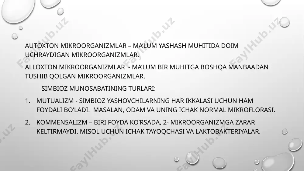 mikroorganizmlar ekologiyasi - Page 3