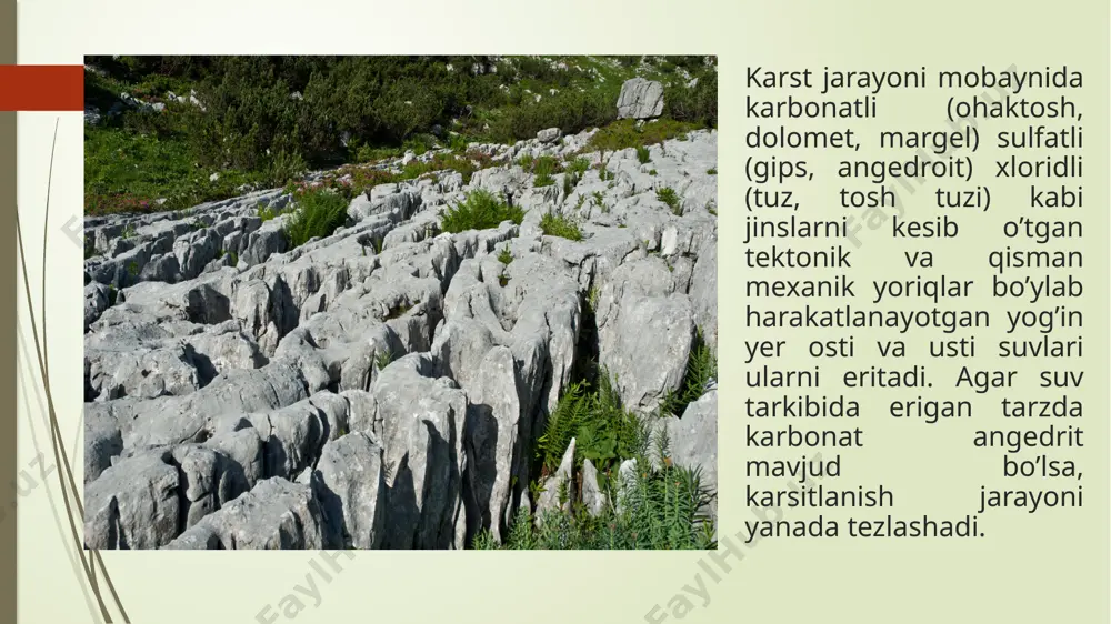 karst va psevdo karst suffoziya - Page 5