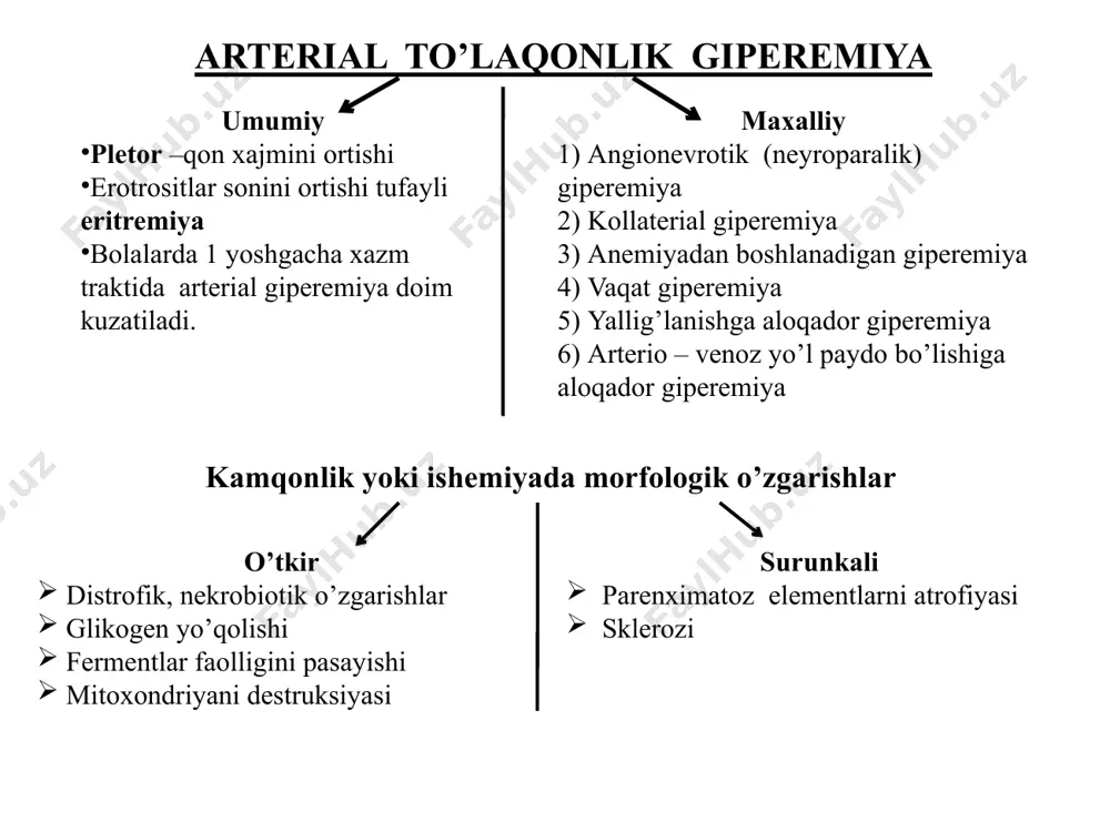 avertebral soxasida kuzatiladi. staz mikrosirkulyator o’zanida qon oqimini sekinlashuvi, va to’xtashi asosan, kapillyarda kuzatiladi. sabablari qon sirkulyasiyasi buzilishi: fizik va kimyoviy omillar ta’sirida infeksion, infeksion – allergik kasalliklarda yurak va tomirlarni autoimmun kasalliklarida rivojlanish mexanizmi qonni reologik xususiyatini buzilishi (sladj fenomeni) eritrosit, leykosit va trombositlar bir – biriga yopishi plazmani yuqalashishi kuzatiladi. mikrosirkulyator o’zanda qonni perfuziyasi buziladi. i.prestatik: аrteriya yo’li torayadi, qon ustuni donador tuzilishiga kiradi, tromb xosil bo’lishiga olib kelishi mumkin. ii.staz: eritrositlar donador strukturasini yo’qotadi, bir jinsli bo’lib qoladi, plazma ajralib chiqib gemoglobinga to’yinib, tomirlardan tashqariga chiqib to’qimani misdek qizil ranga bo’yaydi. iii.poststatik: qon quyilishi, xujayra elementlarini tashqariga chiqishi. gemoliz, qonni ivib qolishi kuzatiladi. ishemik destruksiya, diapedezli qon quyilishi bilan tugaydi. staz – qaytar jarayon, agar staz uzoq davom etsa qaytmas, gipoksik o’zgarishlarga – nekrobioz va nekrozga olib keladi. tromboz gomeostazni boshqarilishini buzilishi 4 ta sistemani o’zaro munosabatiga bog’liq: – koagulyasiya, fibrinoliz, endoteliya va trombositlarni strukturalari – xayotlik …