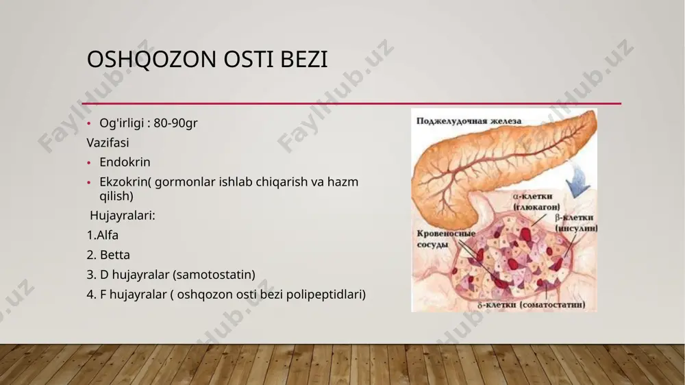 za o'tkazmaydigan oz miqdordagi insulin bilan yog 'kislotalarining oksidlanishi energiya uchun ishlatiladi insulin glyukozani membrana orqali tashishni faollashtiradi jigar: glyukozani saqlaydi, uni glikogenga, shuningdek yog'ga aylantiradi. yog 'to'qimasi: insulinning past konsentratsiyasida erkin yog 'kislotalarining chiqarilishi faollashadi. insulin sintezi glukagon va samotostatin glyukagon: oshqozon osti bezining alfa hujayralarida ishlab chiqariladi insulin antagonisti. jigarda glikogenning parchalanishini rag'batlantiradi. somatostatin: delta hujayralarida hosil bo'ladi. glyukagon sekretsiyasini kamaytiradi. qonda glyukoza, aminokislotalar va yog 'kislotalarining yuqori konsentratsiyasida sekretsiya kuchayadi. image2.jpeg image3.jpeg image4.jpeg image5.jpeg image6.jpeg image1.jpg /docprops/thumbnail.jpeg