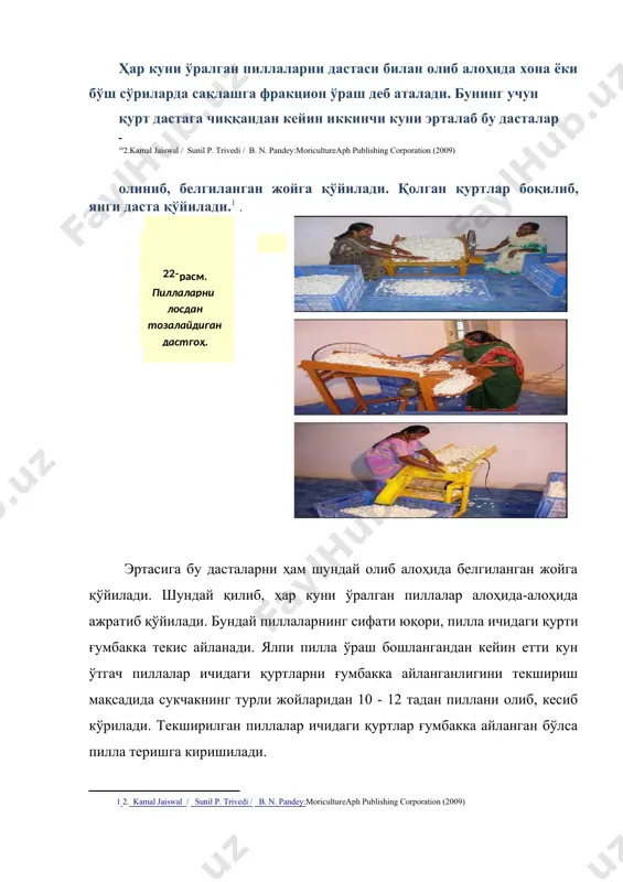ўлган, узунлиги бўйича қобиғи ўта эзилган ва пачоқланиб ёпишган, ички доғлари қобиқнинг сиртига чиққан, кигизсимон, пахтасимон, қўшалоқ ғумбакли, тешик, моғорлаган, қотиб қолган, чала ўралган, хом, юпқа қутбли, жуда бузуқ шаклли ва иккала қутби ўткир учли пиллалар киради тирик пиллалар сараланмаган навли пилла аралашмасига, навсиз пиллаларга ва қорапачоққа ажратилган бўлиши шарт. сараланмаган навли пилла аралашмасида бегона аралашмага, пиллага илашган лосга, қорапачоққа, шунингдек 10,0 % ортиқ навсиз пиллалар бўлишига йўл қўйилмайди.навсиз пиллаларда бегона аралашмага, шунингдек 0,1 % ортиқ қорапачоқ бўлишига йўл қўйилмайди. тирик пиллалар тоза, қуруқ яшиклар, қутилар, саватларга жойланади. пилла ўраш бошланганидан 2-3-4 кундан сўнг дасталардан териб олинган пиллаларнинг қобиғи юпқа ёки ҳали яхши қотмаган бўлиб, йигирилишда бўғлаш ва ип учини топиш даврида тезда уларда тешик пайдо бўлади. хом лекин эзилмаган пиллаларни, етилгунга қадар (қурти тўлиқ ғумбакка айланиши) сақлаш улар ҳисобига олинган зарар кейинчалик иссиқлик агрегатларида ғумбагини ўлдириб, қуритиб ва қуруқ пиллаларни сақланганлигидан кейин ҳам келтирадиган зарар камаймайди. пиллаларни муддатдан олдин …