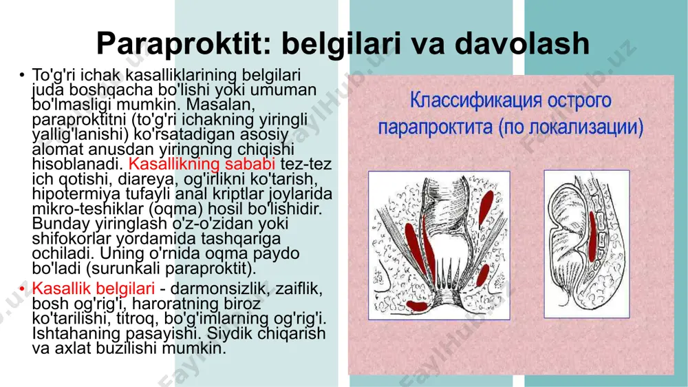 operativ xirurgiya va topografik anatomiya - Page 5