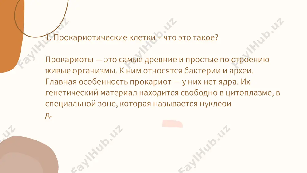 hnika. — m.: prosveshenie. 2. meditsinskaya mikrobiologiya, virusologiya i immunologiya. pod red. v.i. pokrovskogo. — m.: geotar-media. 3. obshaya mikrobiologiya / n.s. egorova. — m.: akademiya, 2019. 4. campbell biology. jane b. reece i dr. — pearson education. 5. lektsii po meditsinskoy biologii. — uchebnie materiali medi tsinskix vuzov. spasibo za vnimanie ef