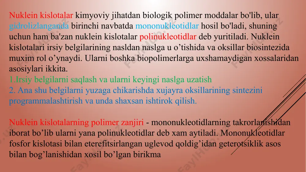 kislota) nukleotidlar amf, adf, atf siklofosfatlar molekulasidagi pentoza qoldig'ining ikkita gidroksil guruhi bir vaqtning o'zida fosfat kislota bilan eterifikatsiyalangan nukleotidlar ham ma'lum. bunday nukleotidlar siklofosfatlar guruhiga kiritiladi. amalda hamma hujayralarda ham ikkita halqali nukleotid – adenozin 3',5'- siklofosfat (s-amf) va guanozin - 3,5-siklofosfat (s-gmf) bo`ladi: nikotinamidadenindinukleotidlar bu guruxdagi birikmalarning eng axamiyatli vakillari nikotinamidadenin-dinukleotid (nad yoki nad++) va uning fosfati (nadf). bu birikmalar degidrogenaza fermentlarining (dg) tarkibida muxim rollarni bajaradilar va organizmda boradigan oksidlanish-qaytarilish reaksiyalarining ishtirokchilaridir. shuning uchun, ular oksidlangan (nad+, nadf+) va kaytarilgan (nad-n, nadf-n) shakllarda boʻlishi mumkin. nuklein kislotalarning polinukleotid zanjiri. nuklein kislotalarning birlamchi tuzilishi dnk asosan hujayra yadrolarida bo'lib, irsiy ma'lumotlarni nasldan nasiga o'tkazishda qatnashsa, rnk ribosoma va hujayra protoplazmasida saqlanib, uning vazifasi asosan oqsil biosintezida ishtirok etishdan iborat. polinukletid zanjir mononukleotidlarni polikondensatsiyalanish reaksiyasi asosida hosil bo'ladi. mononukleotidlar bir-biri bilan « > ketma-ketligida bog'lanib, azotli geterohalqalarini yon zanjirida tutadi: dnk ning polinukletid zanjiri 1-murakkab efir bog'i 2- glikozid …