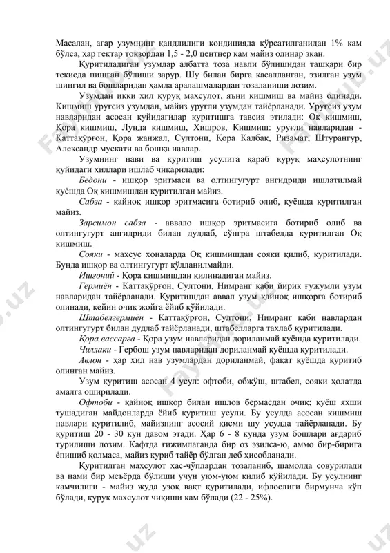 ёки технологик жараёнларнинг қанчалик тўғри ўтказилишига боғлиқ бўлибгина қолмасдан, балки қуритишдан олдинги узум қандлилигига ҳам боғлиқдир. майиз тайёрлаш учун йиғиштириладиган узум қанддорлиги кондиция бўйича кишмиш навлари учун 23 - 25 % дан, уруғли узум навлари учун эса 22 - 23 % дан кам бўлмаслиги лозим. узум қандлилиги кондициядан қанчалик кам бўлса, фақатгина қуруқ маҳсулот (майиз) миқдорини камайишига эмас, балки унинг сифат кўрсаткичларининг пасайишига ҳам таъсир этади. масалан, агар узумнинг қандлилиги кондицияда кўрсатилганидан 1% кам бўлса, ҳар гектар токзордан 1,5 - 2,0 центнер кам майиз олинар экан. қуритиладиган узумлар албатта тоза навли бўлишидан ташқари бир текисда пишган бўлиши зарур. шу билан бирга касалланган, эзилган узум шингил ва бошларидан ҳамда аралашмалардан тозаланиши лозим. узумдан икки хил қуруқ махсулот, яъни кишмиш ва майиз олинади. кишмиш уруғсиз узумдан, майиз уруғли узумдан тайёрланади. уруғсиз узум навларидан асосан қуйидагилар қуритишга тавсия этилади: оқ кишмиш, қора кишмиш, лунда кишмиш, хишров, кишмиш: уруғли навларидан - каттақўрғон, қора жанжал, …
