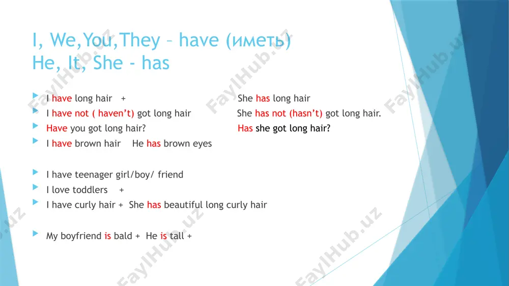 english grammar practice book - Page 2