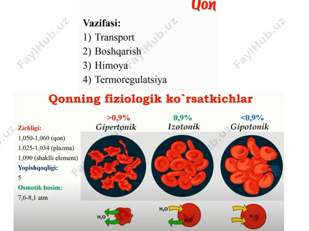 amaliy qon ketishi va uning turlari - Page 2