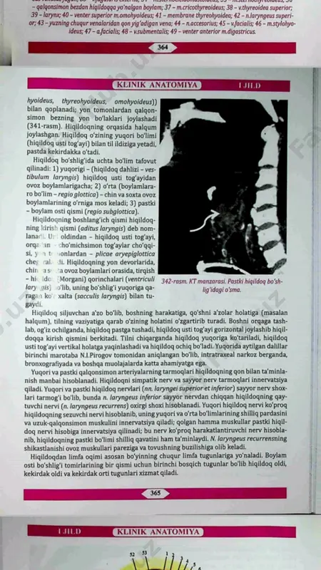 bosh suyagi o'rta chuqurchasi haqida ma'lumot - Page 4