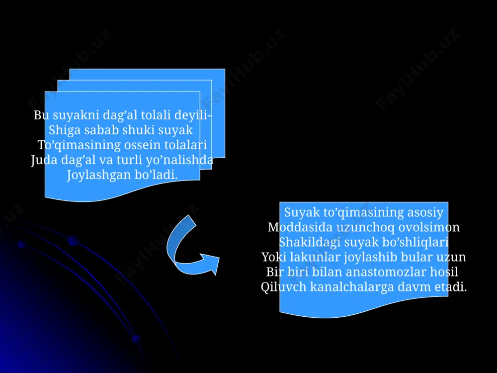 suyak to’qimasi - Page 5