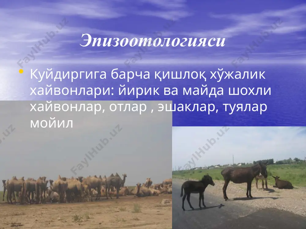 куйдирги 2 - Page 4