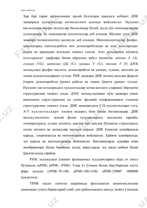 ўлинади (ирнк; ррнк; трнк). улар ўз ўлчами билан бир-биридан катта фарқ қилади (трнк-70-100; ррнк-100-3100; ирнк-25000" 1000000 нуклеотид). трнк оқсил синтези жараёнида фаоллашган аминокислотани аминоацил учига бириктириб олиб, уни рибосомадаги махсус жойга ўтказади ва ўзи рибосомалар юзаси буйича тортилган ирнкнинг аниқ кичик қисмига комплементарлик асосида боғланади. мазкур жараёнда трнк айни аминокислотани синтезланаётган оқсил молекуласининг маълум жойига ўрнашишини мрнкадаги код асосида амалга оширади, яъни адапторлик ролини ўйнайди. ирнк днк занжиридаги ирсий ахборотдан нусха олиб, кўчириб олинган ахборотни сақлайди ва оқсил синтези жараёнида матрица вазифасини бажаради. ирнкдаги нуклеотидлар қаторини оқсил молекуласидаги аминокислоталар қаторига ўтиши, яъни нуклеин кислотадаги маълумотни тегишли аминокислоталар қатори шаклида амалга ошиши информациянинг ўқилиши деб аталади. ррнк 50дан ортиқ оқсил молекулалари билан бириккан ҳолда рибосоманинг структурасини тузишда хизмат қилади. 2. тирик организмда олдиндан мавжуд қолип асосида янги днк молекуласининг яратилиши нуклеин кислоталарининг синтезланиш йўлидир. мавжуд днк молекуласидан нусха олиш репликация деб аталади. репликация жараёни днк-полимераза i, ii, iii, днк-лигаза ва ревертаза …