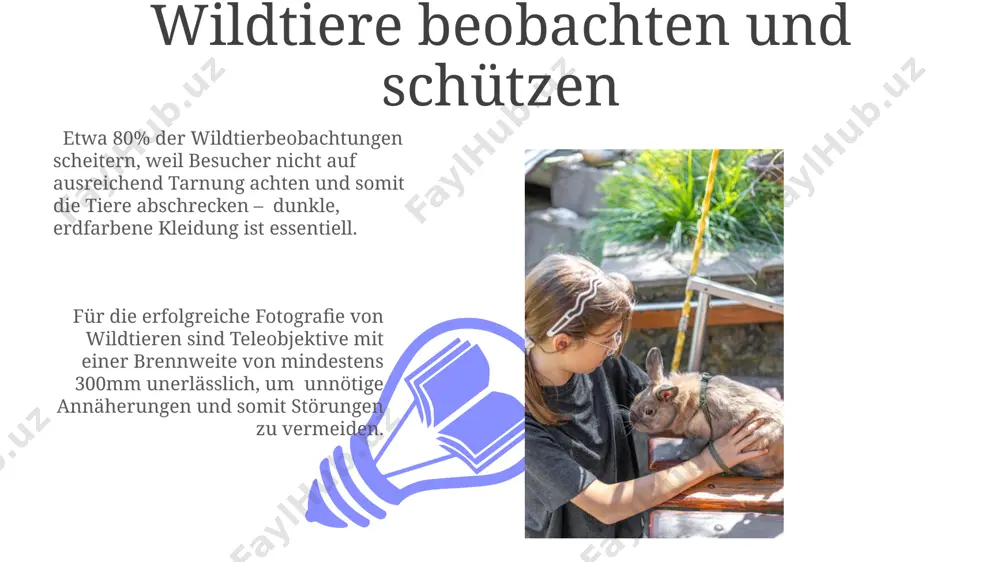 tierwelt: umgang mit tieren - Page 3