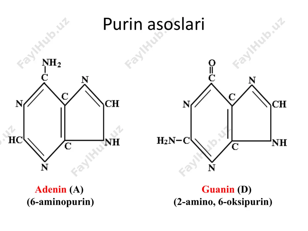 ndan 60% guanin va sitozin orasida bo'lsa, shu dnk bo'lagidagi nukleotidlarning jami sonini toping. a) 840 b) 820 c) 420 d) 410 15. dnk zanjiridagi nukleotidlar orasidagi masofa 0,34 nm ga teng va ular o'zaro fosfodiefir bog'lari orqali bog'lansa, 153 nm uzunlikdagi dnk qo'sh zunjirida 12 juft nukleotid deletsiyaga uchragan bo’lsa, avvalgi va mutatsiyaga uchragan dnk fragmentidagi nukleotidlar orasidagi fosfodiefir bog’lar sonini aniqlang. a) 448; 424 b) 899; 875 c) 898; 874 d) 449; 437 image1.png image2.png image3.png image4.png image5.png image6.png image7.png image8.png image9.png image10.png /docprops/thumbnail.jpeg