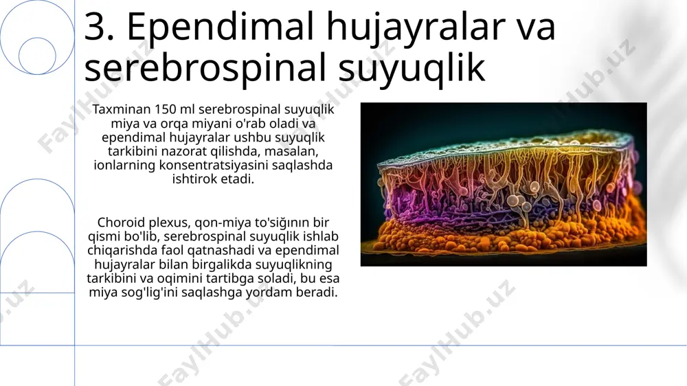 neyrogliya hujayralari hillari va funktsiyalari - Page 5