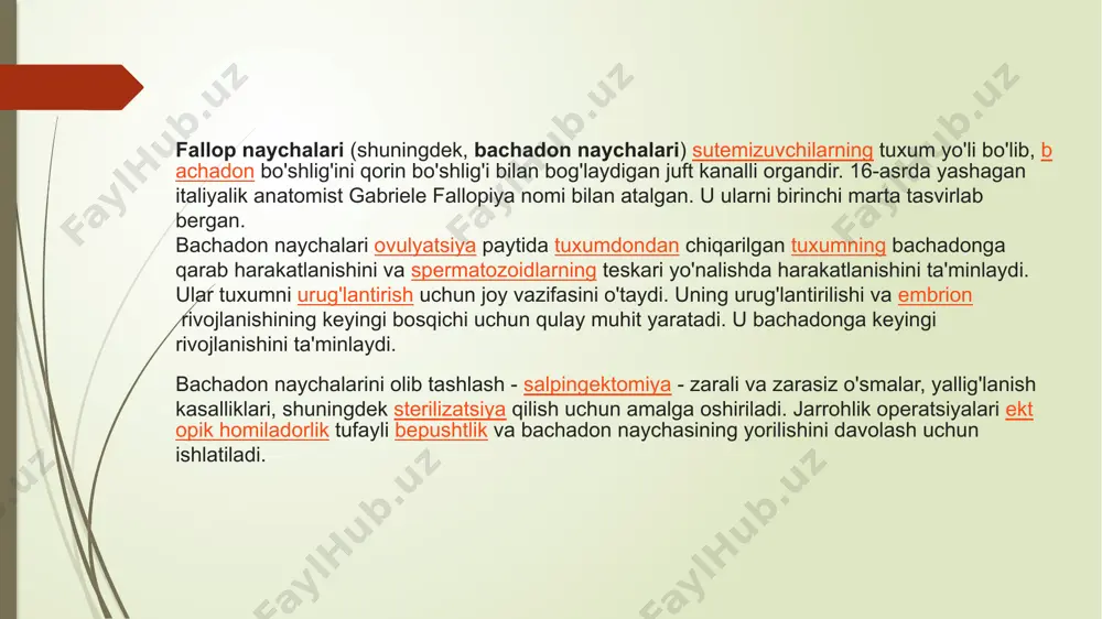 ayollarning reproduktiv tizimi - Page 5