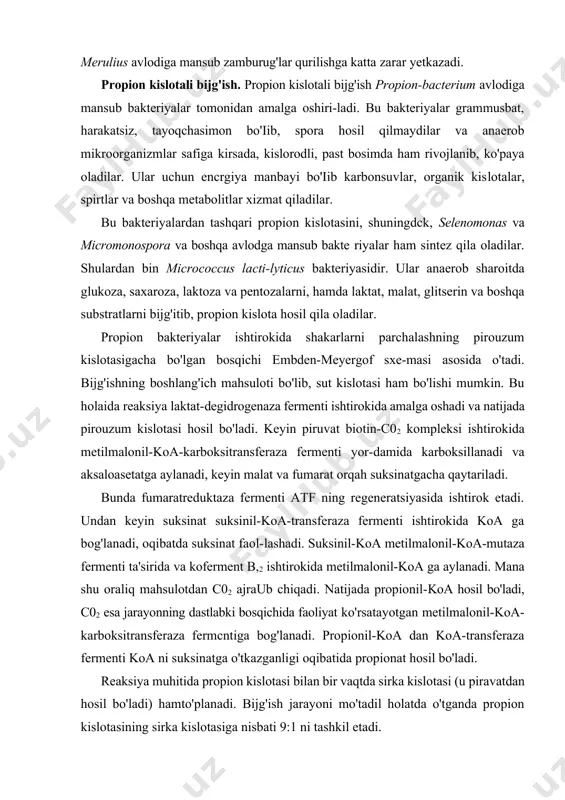 i, selluiozani parchaiaydigan mikroblar очхо'г hayvonlaming ovqat hazm qilish jarayonida muhim rol o'yrtaydi, dag'al xashaklarning hazm bo'iishini osonlashtiradi. lekin zararli tomoni shundaki, qog'oz va yog'ochning sifatini buzadi, ayniqsa merulius avlodiga mansub zamburug'lar qurilishga katta zarar yetkazadi. propion kislotali bijg'ish. propion kislotali bijg'ish propion-bacterium avlodiga mansub bakteriyalar tomonidan amalga oshiri-ladi. bu bakteriyalar grammusbat, harakatsiz, tayoqchasimon bo'iib, spora hosil qilmaydilar va anaerob mikroorganizmlar safiga kirsada, kislorodli, past bosimda ham rivojlanib, ko'paya oladilar. ular uchun encrgiya manbayi bo'iib karbonsuvlar, organik kislotalar, spirtlar va boshqa metabolitlar xizmat qiladilar. bu bakteriyalardan tashqari propion kislotasini, shuningdck, selenomonas va micromonospora va boshqa avlodga mansub bakte riyalar ham sintez qila oladilar. shulardan bin micrococcus lacti-lyticus bakteriyasidir. ular anaerob sharoitda glukoza, saxaroza, laktoza va pentozalarni, hamda laktat, malat, glitserin va boshqa substratlarni bijg'itib, propion kislota hosil qila oladilar. propion bakteriyalar ishtirokida shakarlarni parchalashning pirouzum kislotasigacha bo'lgan bosqichi embden-meyergof sxe-masi asosida o'tadi. bijg'ishning boshlang'ich mahsuloti bo'lib, sut kislotasi ham bo'lishi …