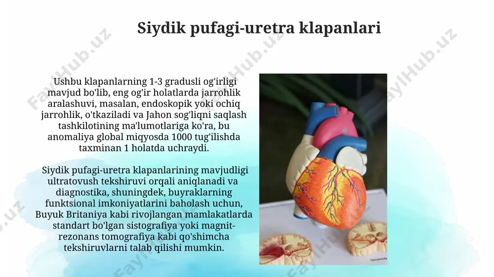 sa samarqand viloyatida. buyrak gipoplaziyasi diagnostikasi ultratovush tekshiruvi yordamida amalga oshiriladi va buyrakning hajmini, tuzilishini va funksiyasini aniqlashga imkon beradi. davolash usullari alomatlarning ogʻirligiga bogʻliq boʻlib, ba'zi hollarda konservativ davolash, boshqa hollarda esa jarrohlik amaliyoti talab etiladi. ureteral stenoz ureteral stenozni davolash usullari konservativ (dorilar, diuretiklar) va jarrohlik usullarini o'z ichiga oladi, masalan, endoskopik stenting, bu esa siydik yo'llarini ochishga va obstruktsiyani bartaraf etishga yordam beradi, ayniqsa, amerika qo'shma shtatlarida keng qo'llaniladi. ureteral stenozning 50% dan ortiq hollari tug'ma bo'lib, bu holat ko'pincha siydik yo'llarining boshqa anomaliyalari bilan birga kuzatiladi, masalan, buyrak ektopiyasi bilan, ayniqsa, 10 yoshgacha bo'lgan bolalarda uchraydi. e'tiboringiz uchun rahmat @taqdimot_robot image2.jpg image3.jpg image4.jpg image5.jpg image6.jpg image7.jpg image8.jpg image9.jpg image10.jpg image11.jpg image12.jpg image13.jpg image14.jpg image15.jpg image16.jpg image17.jpg image18.jpg image1.png