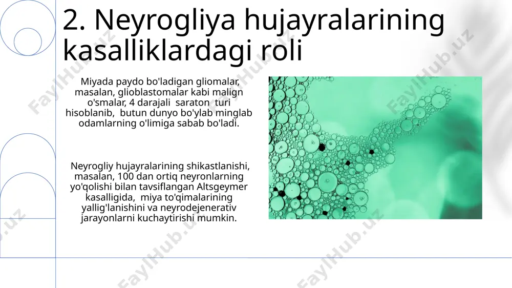 neyrogliya hujayralari hillari va funktsiyalari - Page 4